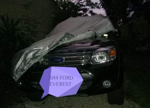 2014 Ford Everest for sale in San Jose del Monte