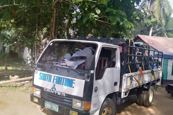 Selling White Isuzu Elf 2004 Truck in Iloilo