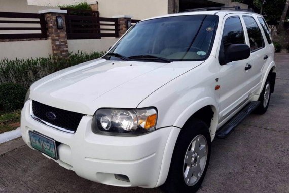 Sell 2nd Hand 2007 Ford Escape Automatic Gasoline at 100000 km in Parañaque