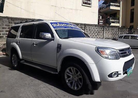 Selling White Ford Everest 2013 at 19351 km in Manila