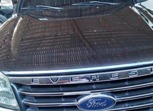 2nd Hand Ford Everest 2010 for sale in Cebu City