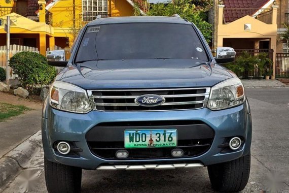 Blue Ford Everest 2008 Automatic Diesel for sale in Manila
