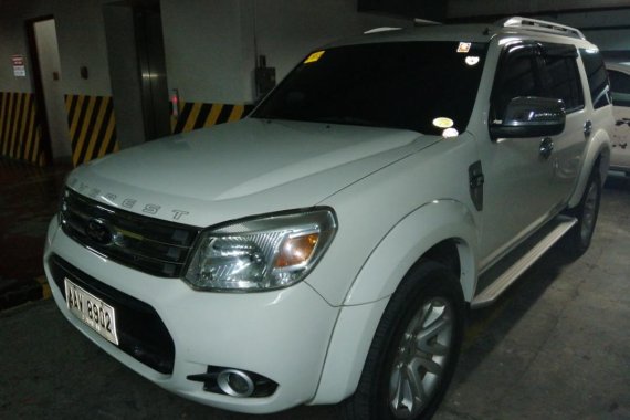 2014 Ford Everest for sale in Taytay