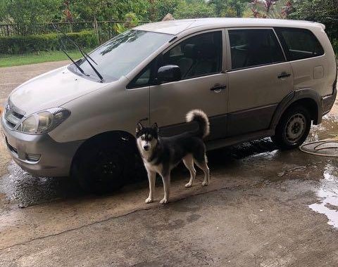 2007 Toyota Innova for sale in Mandaue 