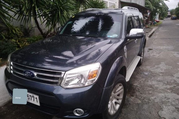 2014 Ford Everest for sale in Pasig 