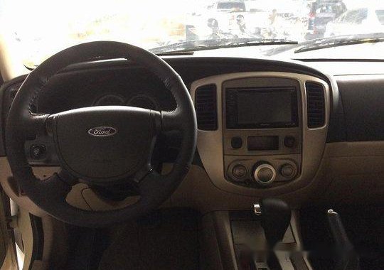 Ford Escape 2010 Automatic Gasoline for sale 