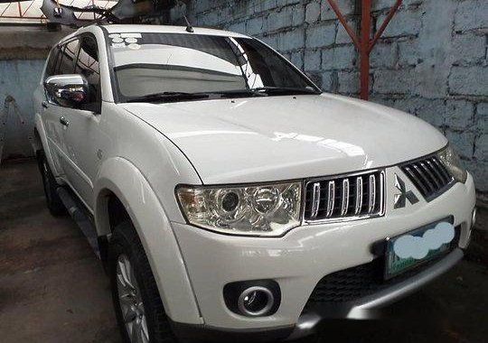 2009 Mitsubishi Montero Sport for sale in Parañaque