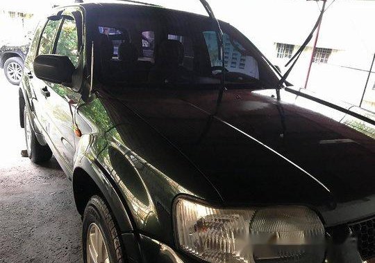 Ford Escape 2004 Automatic Gasoline for sale