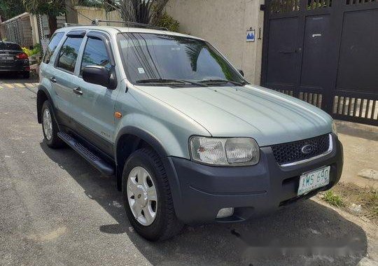 Used Green Ford Escape 2004 Automatic Gasoline at 47000 km for sale  in Manila