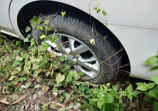 White Nissan Almera 2016 at 21000 km for sale