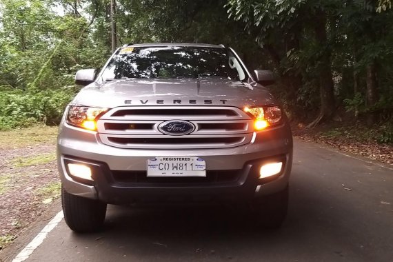 Used Ford Everest 2018 for sale in Calamba