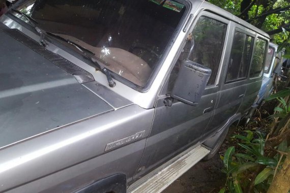 Toyota Tamaraw 1995 for sale in Dasol