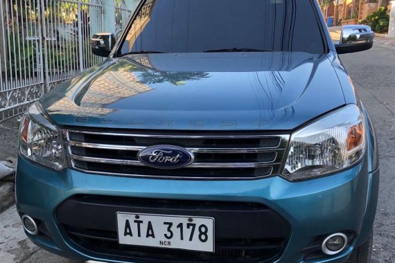 2015 Ford Everest for sale in Cebu City 