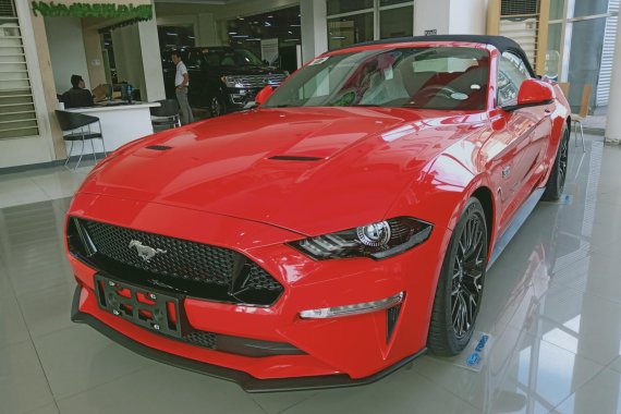 Brand New 2019 Ford Mustang Low Down Payment