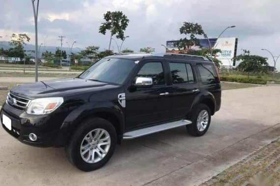 2013 Ford Everest for sale in Mandaue 