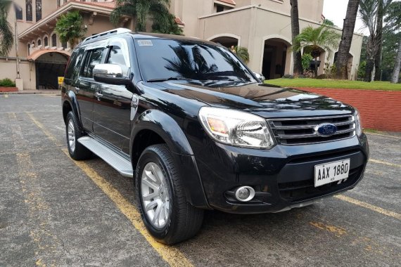 Black Ford Everest 2014 for sale in Makati