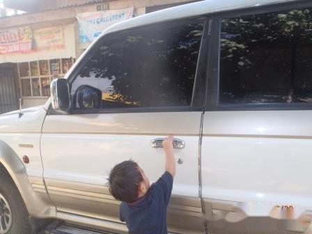 Sell Gray & White 2003 Mitsubishi Pajero SUV / MPV in Talisay