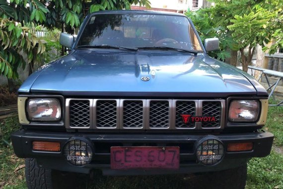 Blue Toyota Hilux for sale in Calapan