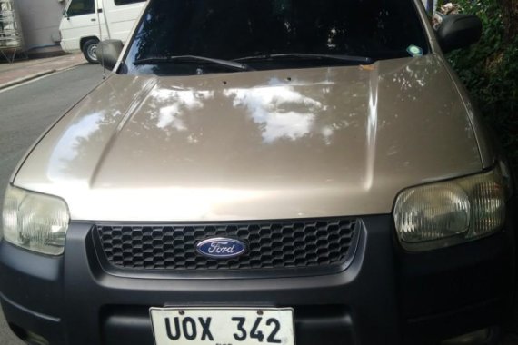 Selling Grey Ford Escape 2.0 XLS Auto 2003 in Valenzuela