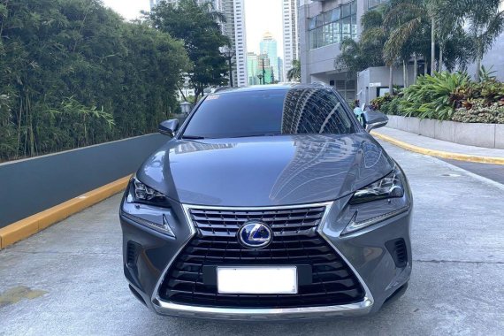 Sell Grey Lexus Nx in Bonifacio