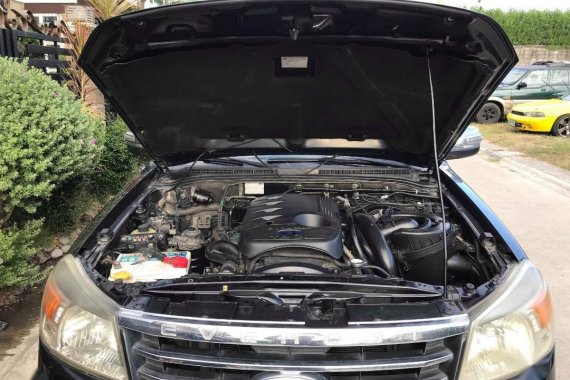 Black Ford Everest for sale in Pasay