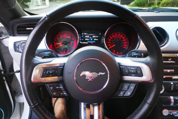 Mustang Ecoboost 2.3 Rush Sale