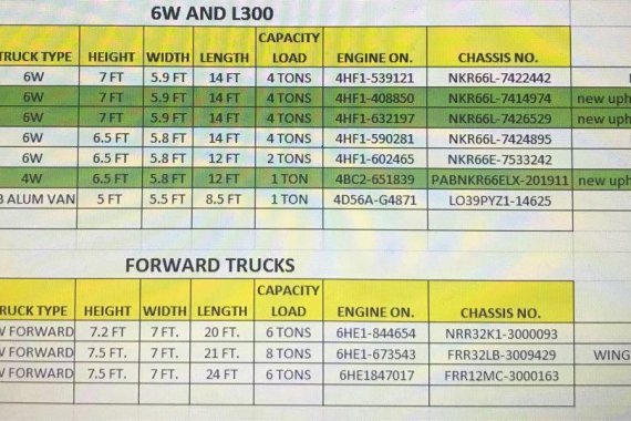 Green Isuzu Elf 1999 for sale in Paranaque City