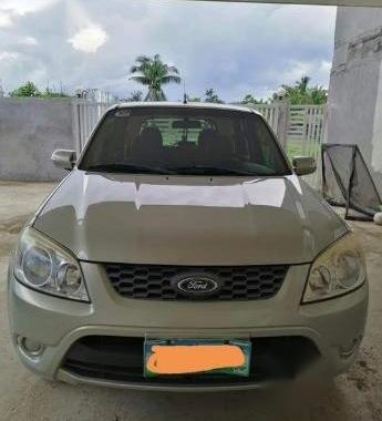 Silver Ford Escape 2013 for sale in Butuan