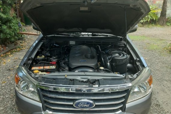 Selling Silver Ford Everest 2011 in Malabon