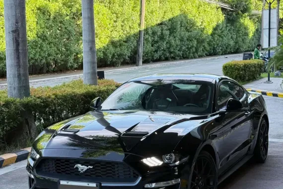 HOT!!! 2019 Ford Mustang Ecoboost for sale at affordable price! 