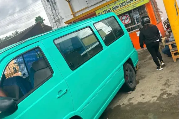 Sell 1995 Mercedes-Benz MB100 Minivan in used