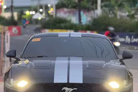 HOT!!! 2019 Ford Mustang Ecoboost 2.3 for sale at affordable price! 