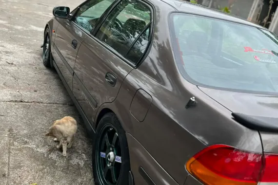 HONDA CIVIC VTI "Bigote"