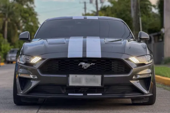 HOT!!! 2019 Ford Mustang Ecoboost for sale at affordable price! 