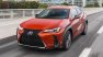 What makes the Lexus UX a great starter luxury crossover?