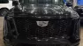 2027 Cadillac Escalade ESV Sport Platinum - Brand New