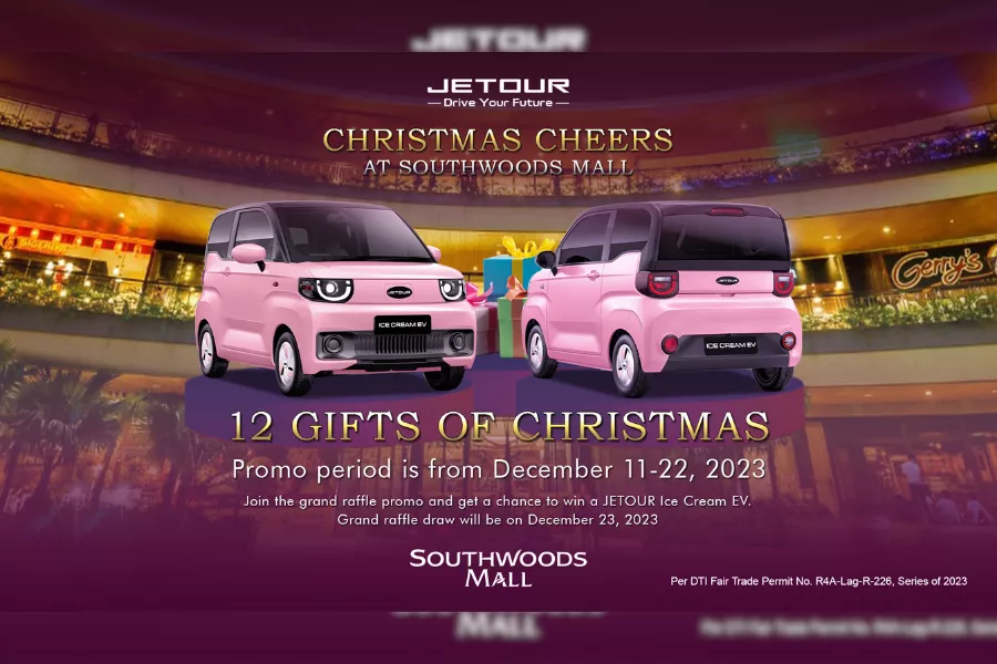 A picture of the Megaworld christmas raffle poster. 