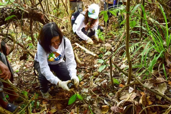 Honda Philippines tree planting project