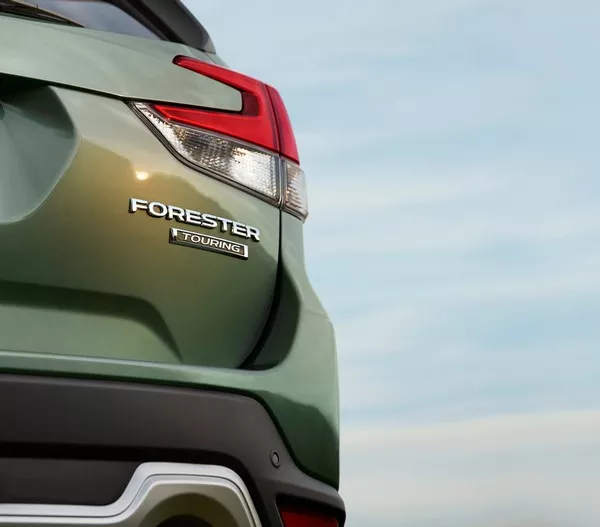 Subaru Forester 2019 teaser of the rear