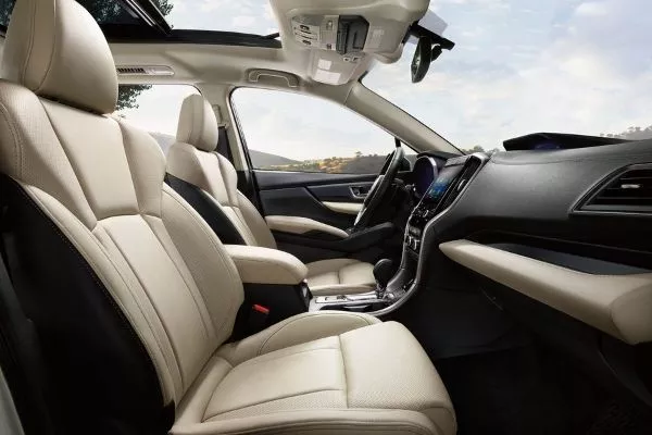 A picture of the Evoltis/Ascent's front cabin