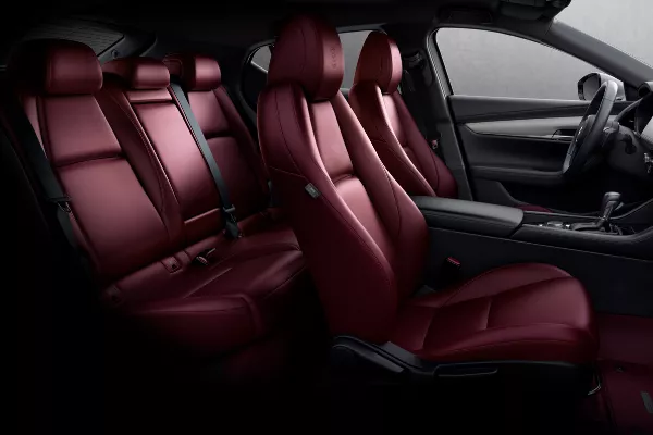 Special 100th Anniversary badge.