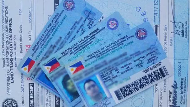 Philippine driver’s licenses