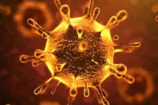 coronavirus