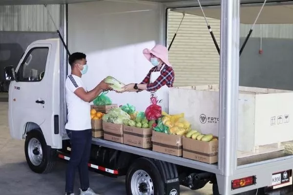 The Gratour 300 MT Wing Van body customization