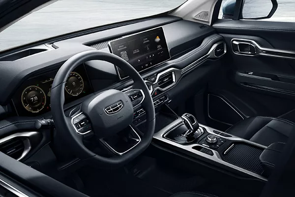 A picture of the Okavango's dashboard and steering wheel