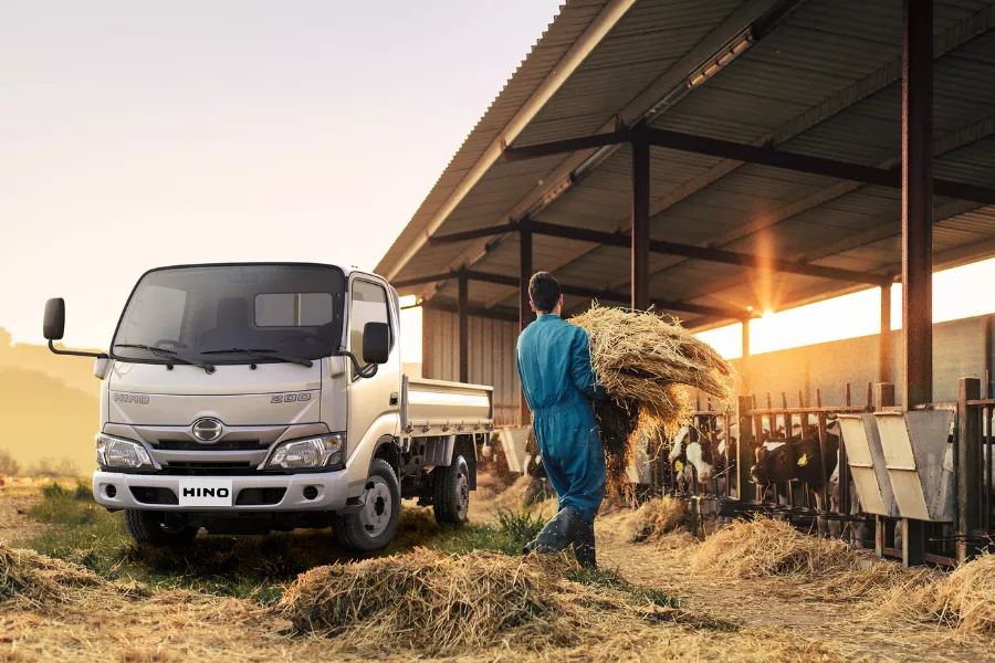 Hino 200 Series front view