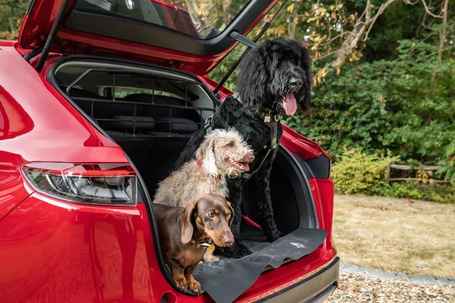 A picture of a Honda HR-V with dogs and the Honda dog accessories