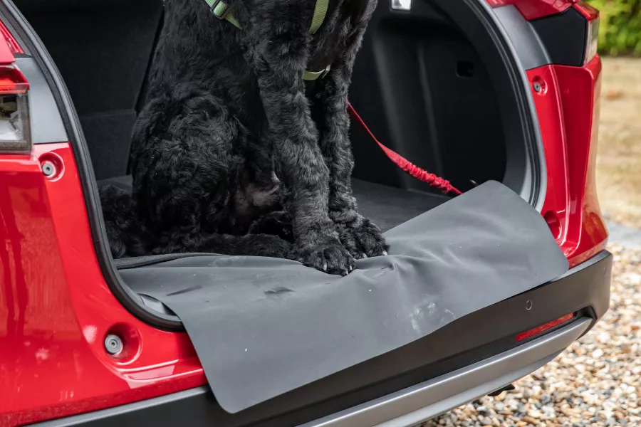 A picture of the Honda dog mat