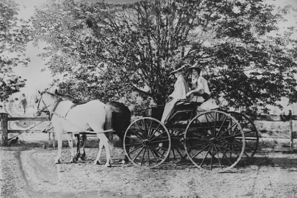 Horsedrawn carriage