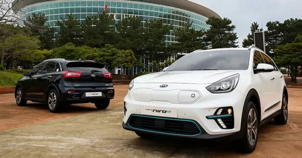 two Kia Niro EV 2019s